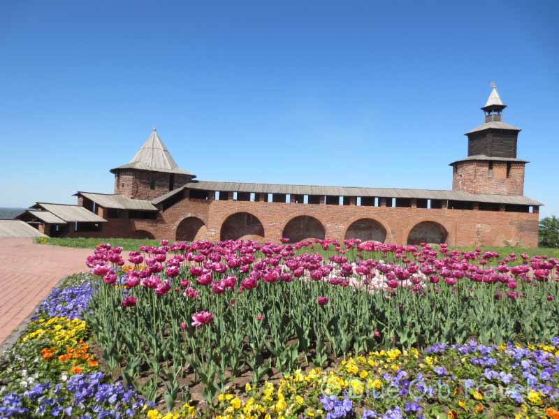 Tulips Near Kremlin in Nizhny Novgorod