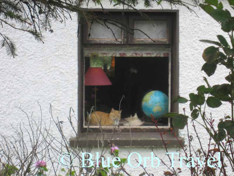 Cat in Cottage Window Dreams of Traveling the Globe, Sligo, Ireland