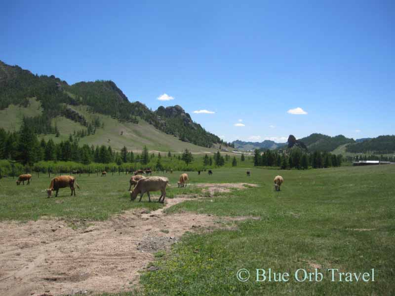 Terelj National Park, Mongolia