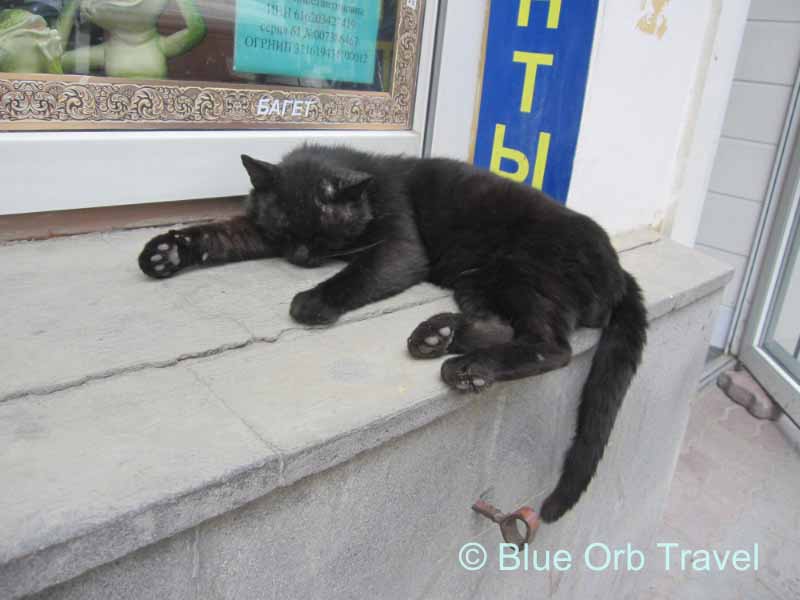 Cat on a Window Ledge, Rostov on Don, Russia